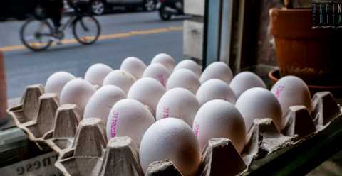 Gli "ovaioli" di Bari: «Bianche o rosse, le nostre uova arrivano da pollai non intensivi»